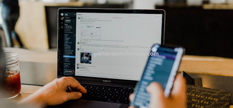E-Commerce, E Commerce, E Commerce Adalah, E Commerce Pertaniam <toko Pertanian, Olshop, Pertanian Indonesia